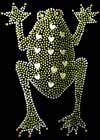 4 Frog Design Green Rhinestones Black Skate Pant Black Adult XS